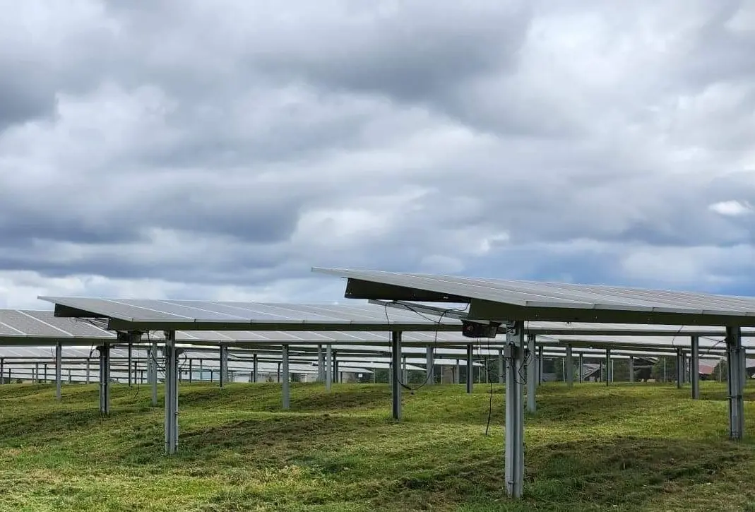 Photo of solar panels in a field